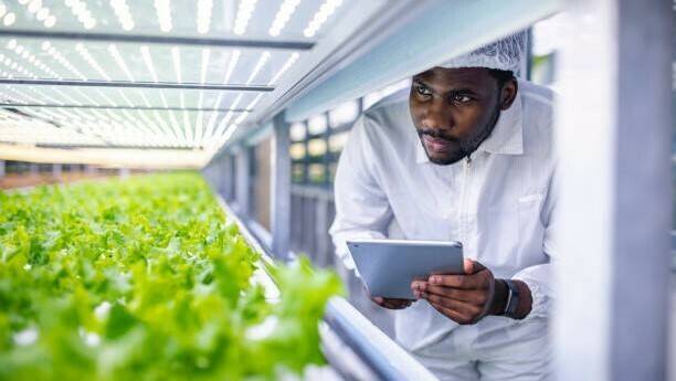 eficiencia-sostenibilidad-agricultura|eficiencia-sostenibilidad-agricultura